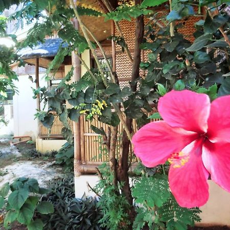 Pagdayon Traveler'S Inn Пуэрто-Принцеса Экстерьер фото