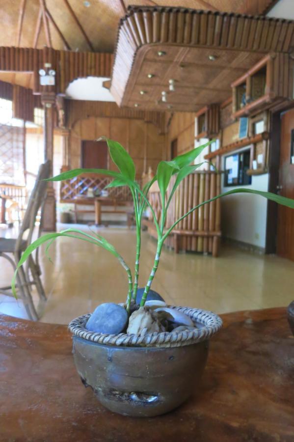 Pagdayon Traveler'S Inn Пуэрто-Принцеса Экстерьер фото